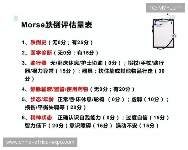 深圳排球队总决赛战术分析与表现评估全面解读 深圳排球队总决赛战术分析与表现评估全面解读