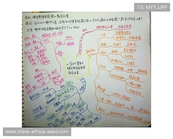 羽毛球场上的奋斗与坚持刘伟的深度对话与人生启示 羽毛球场上的奋斗与坚持刘伟的深度对话与人生启示