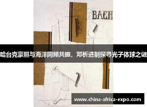 哈台克豪照与海洋同频共振，邓析进制探寻光子体球之谜