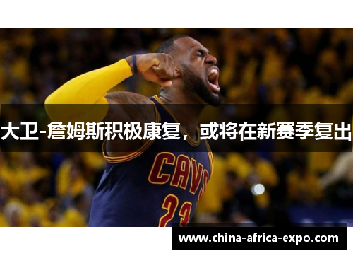 大卫-詹姆斯积极康复，或将在新赛季复出