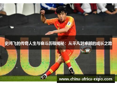 史鸿飞的传奇人生与奋斗历程揭秘：从平凡到卓越的成长之路